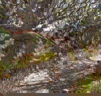 Middle Lagoon Walking Track - Attractions Perth