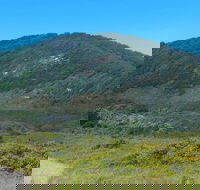 Monument Hill Walking Track - Attractions Perth