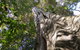 Moore Park Nature Reserve - thumb 0