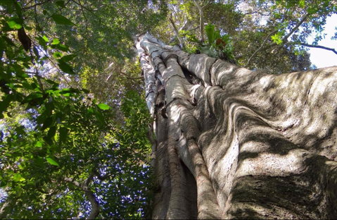Moore Park Nature Reserve - Attractions Perth 0