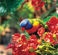 Mount Surprise - Attractions Perth