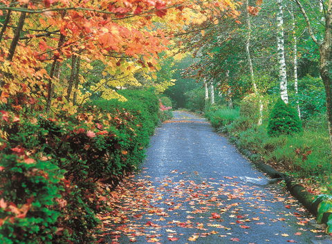 Mount Wilson And Mount Irvine - Attractions Perth 0