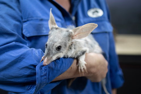 Natural Sciences Loop - Attractions Perth 2