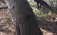 Northern Beaches - thumb 1