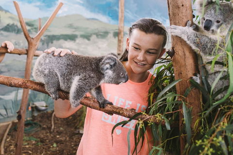 Oakvale Wildlife Park - Attractions Perth 0