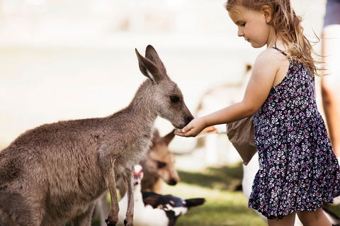 Oakvale Wildlife Park - Attractions Perth 1