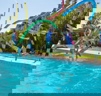 Oaklands War Memorial Swimming Pool - Attractions Perth