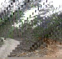 Paddys Ranges State Park - Attractions Perth