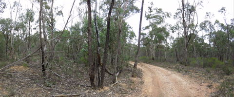 Paddys Ranges State Park - Attractions Perth 0