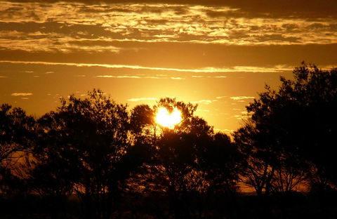 Paroo-Darling National Park - Attractions Perth 0