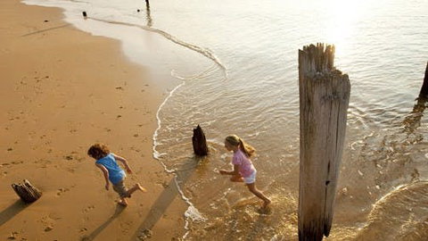 Phillip Island - Attractions Perth 0