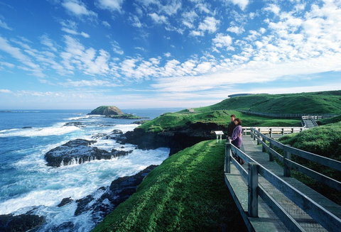 Phillip Island - Attractions Perth 1