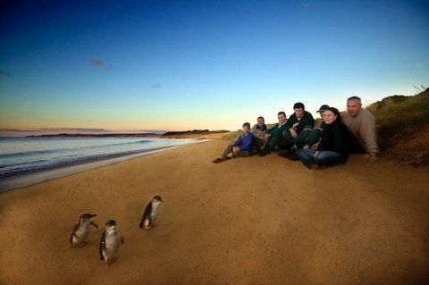 Phillip Island - Attractions Perth 2