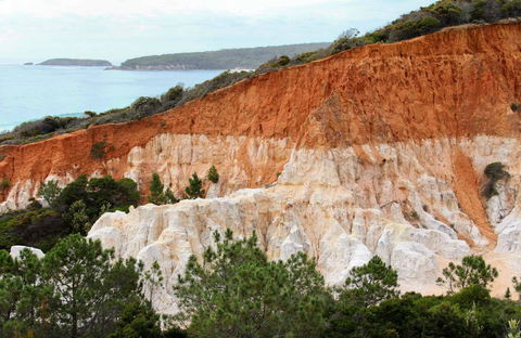 Pinnacles Loop Walking Track - Attractions Perth 0