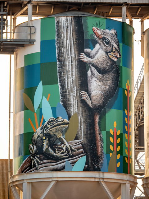PUBLIC Silo Trail: Newdegate - Attractions Perth 2