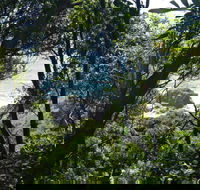Rainforest Walking Track Hat Head National Park - Attractions Perth