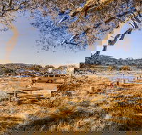 Rennix walking track - Attractions Perth