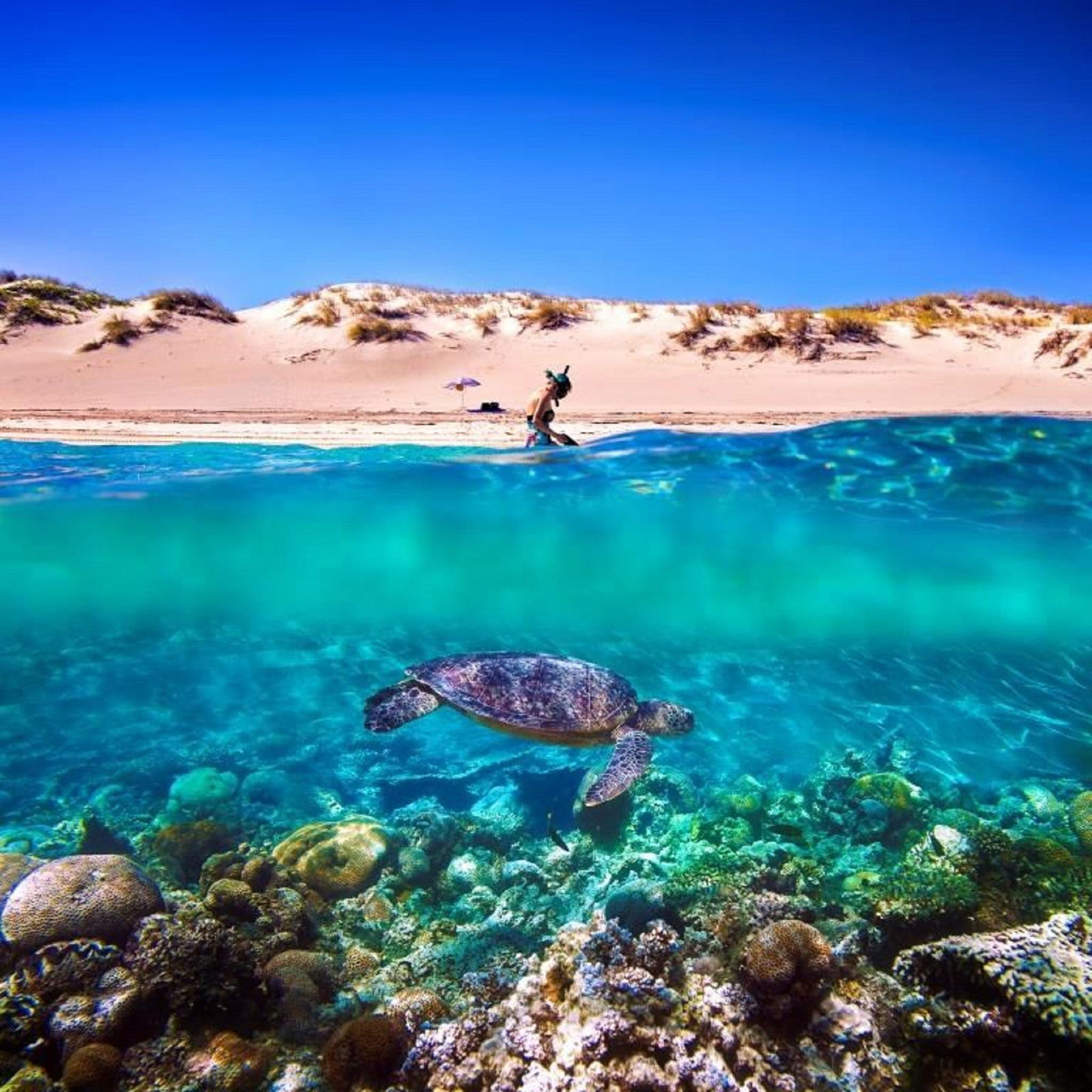 Cape Range National Park WA Attractions Perth