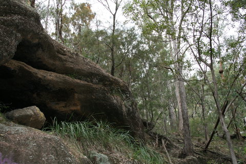 Springwood Conservation Park - Attractions Perth 2