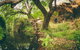 Sturt Gorge Recreation Park - thumb 1