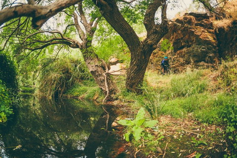Sturt Gorge Recreation Park - Attractions Perth 1