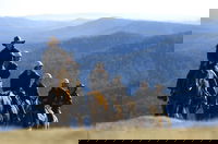 Victoria's High Country