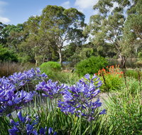 Wittunga Botanic Garden