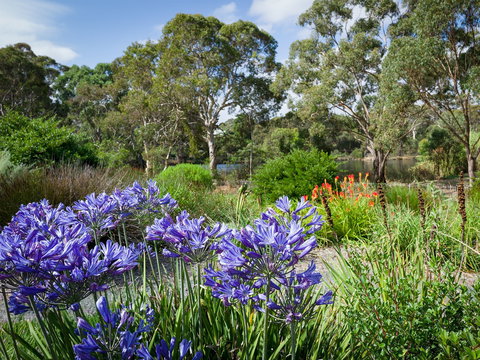 Wittunga Botanic Garden - Attractions Perth 0