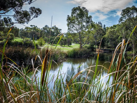 Wittunga Botanic Garden - Attractions Perth 2