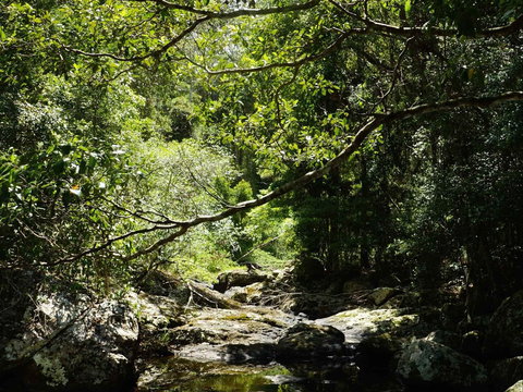 Witta - Attractions Perth 0