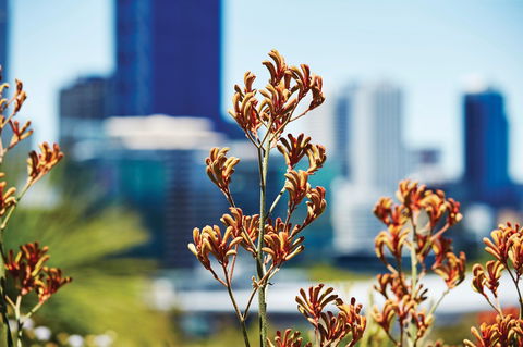 A Day In Perth - Attractions Perth 1