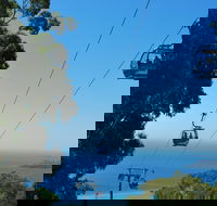 Arthurs Seat Eagle - Attractions Perth