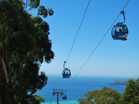 Arthurs Seat Eagle - Attractions Perth 0