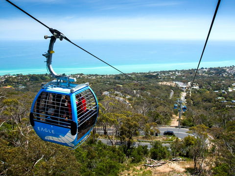 Arthurs Seat Eagle - Attractions Perth 1