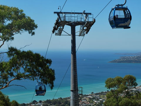Arthurs Seat Eagle - Attractions Perth 2