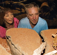 At the Creek Visitor Information Centre - Attractions Perth