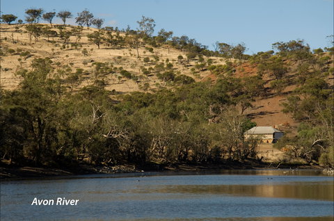 Bilya Walk Track - Attractions Perth 2