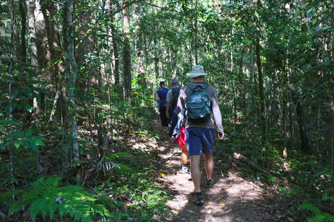 Booloumba Falls Walk, Conondale National Park - Attractions Perth 1