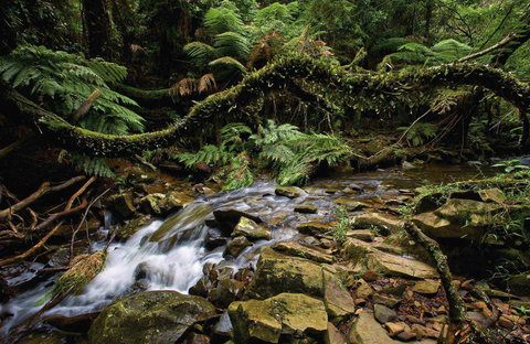 Budderoo National Park - Attractions Perth 0