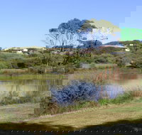 Centennial Park Beachport