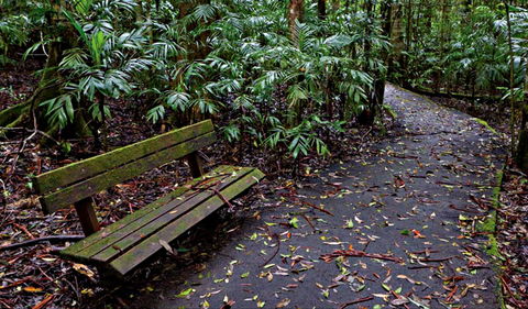 Coombadjha Nature Stroll - Attractions Perth 0