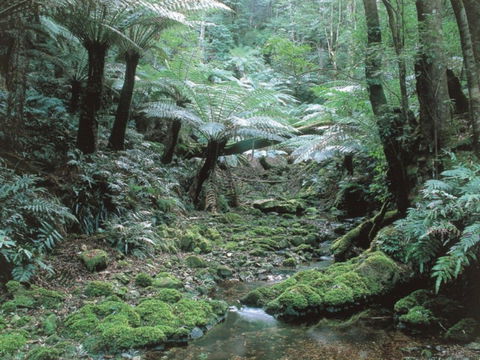 Corn Trail - Attractions Perth 0