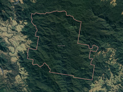 Dingo Forest - Attractions Perth 0