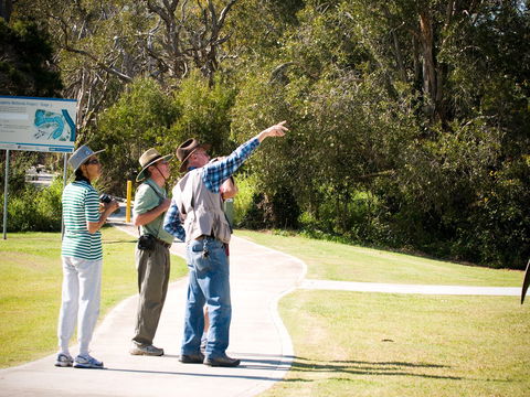 Eagleby Wetlands - Attractions Perth 2