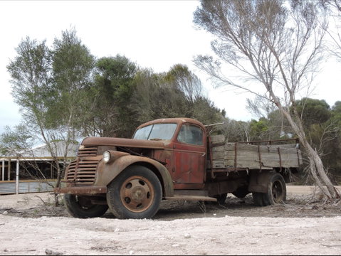Emu Ridge Eucalyptus Pty Ltd - Attractions Perth 2