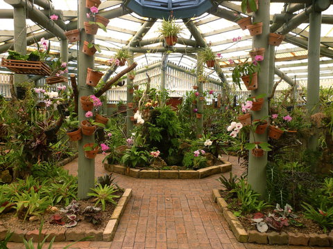 Family Fun In Mackay City - Attractions Perth 1