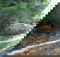 Finch Hatton - Attractions Perth