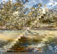 Flea Creek Picnic Area - Attractions Perth