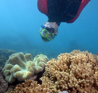 Geoffrey Bay Snorkel Trail - Attractions Perth