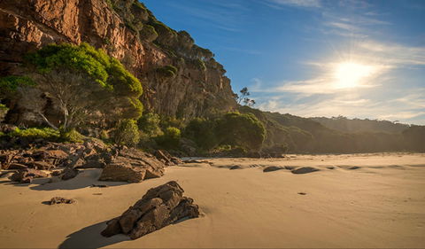 Greenglade Picnic Area - Attractions Perth 0